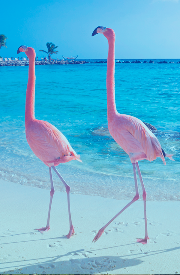 Beautiful city image