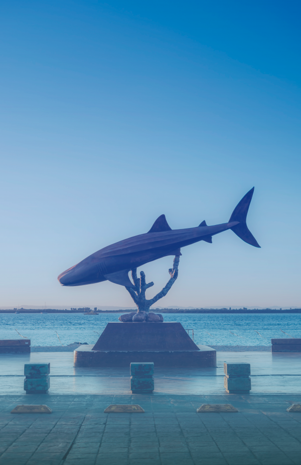 Beautiful city image