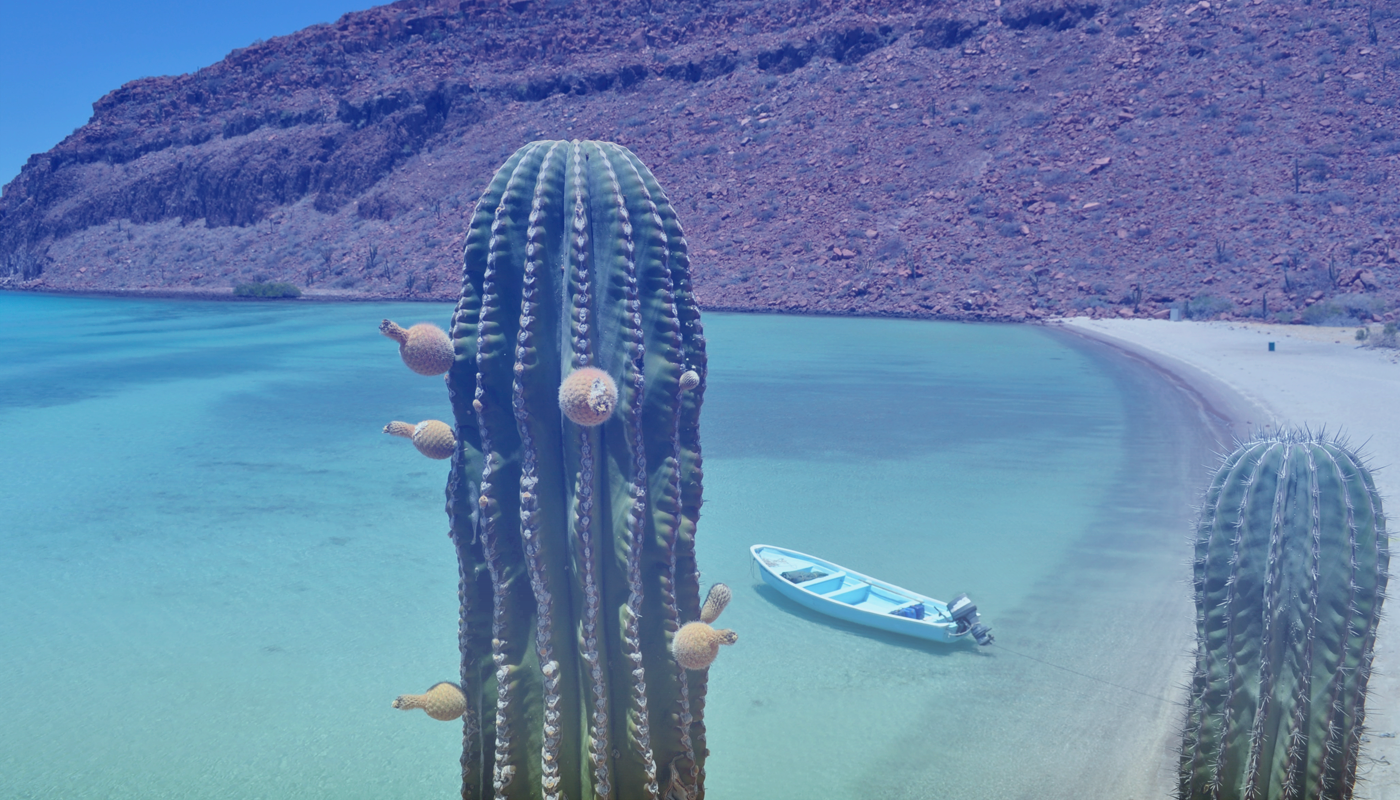 Beautiful city image