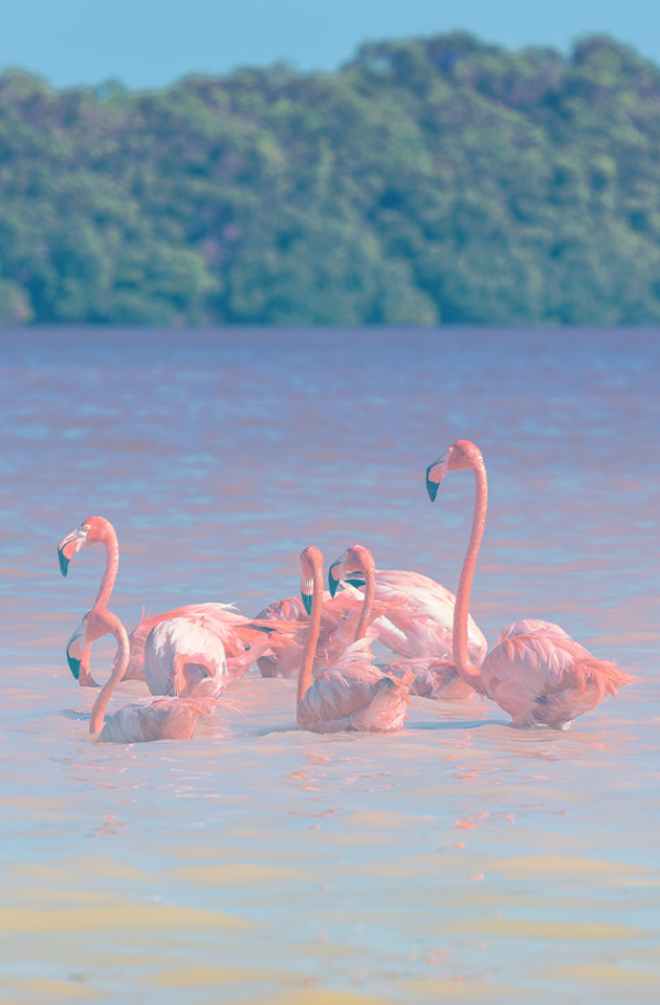 Beautiful city image