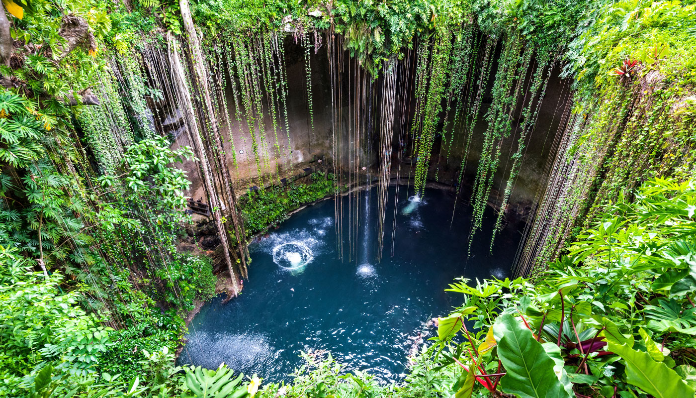 Discover the Best Cenotes in Tulum and Yucatan