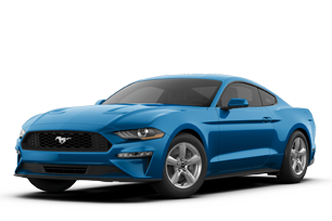 Ford Mustang or Similar
